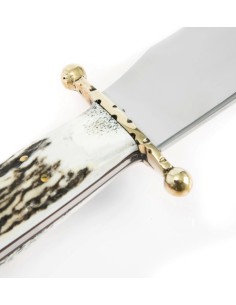 Terbutz Bowie Chico (Asta de Ciervo) 2