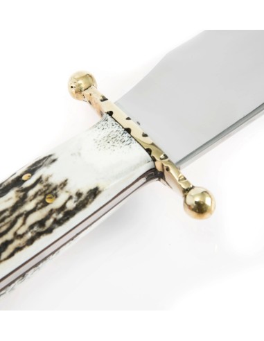 Terbutz Bowie Chico (Asta de Ciervo)