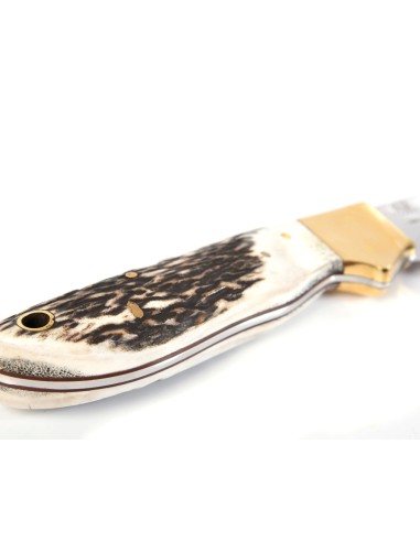 Terbutz Cuatrero (Asta de Ciervo)