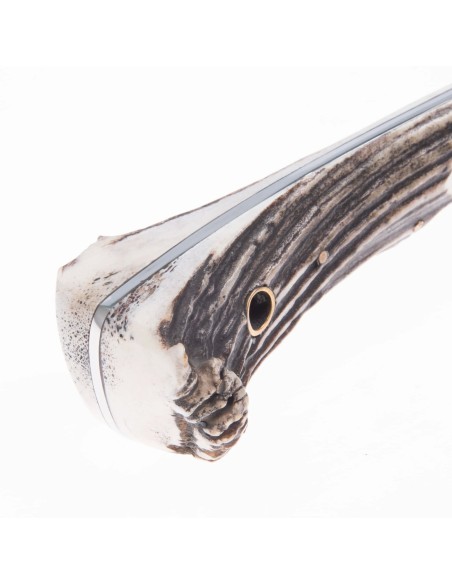 Terbutz Español (Asta de Ciervo)