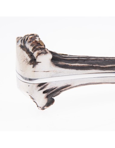 Terbutz Español (Asta de Ciervo)