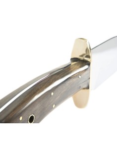 Terbutz Gran Bowie (Madera) 2