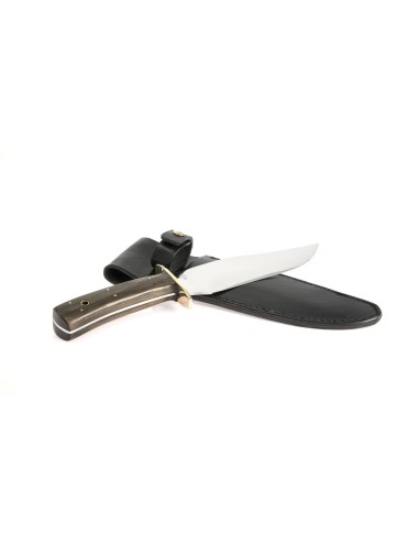 Terbutz Gran Bowie (Madera)