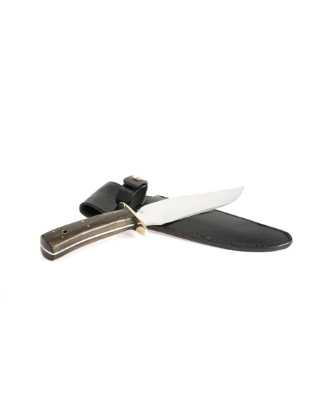 Terbutz Gran Bowie (Madera) Terbutz Gran Bowie (Madera)