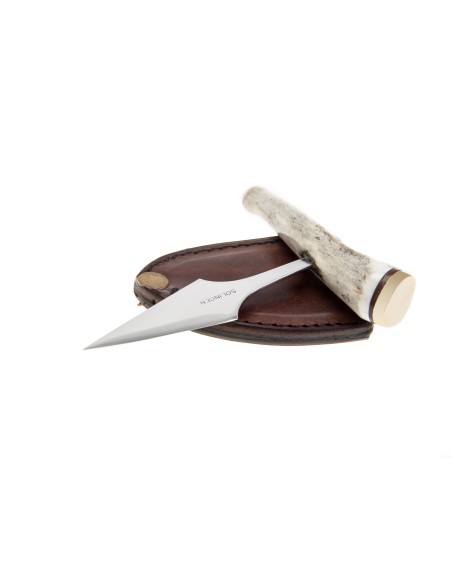 Terbutz Daga Terbutz Daga