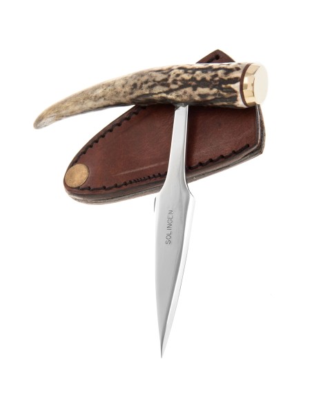 Terbutz Daga Terbutz Daga