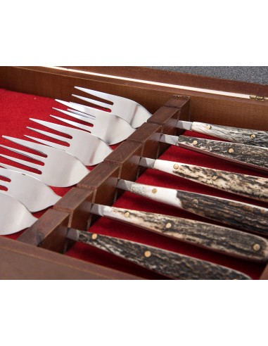 Terbutz Kit Premium (x6) (Asta de Ciervo)