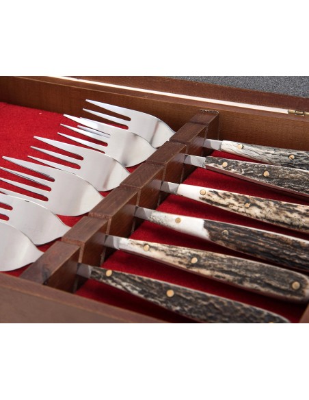 Terbutz Kit Premium (x6) (Asta de Ciervo)