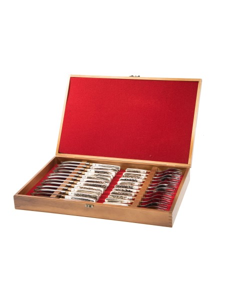 Terbutz Kit Premium (x12) (Asta de Ciervo)