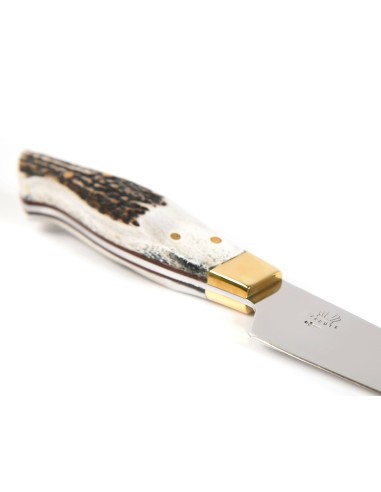 Terbutz Petit Cheff (Asta de Ciervo)