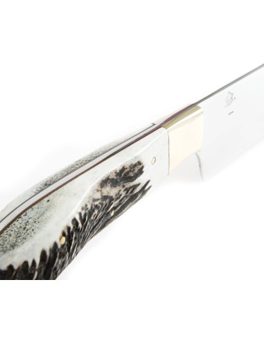 Terbutz Baquiano (Asta de Ciervo)