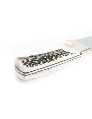 Terbutz Criollo (Asta de Ciervo)