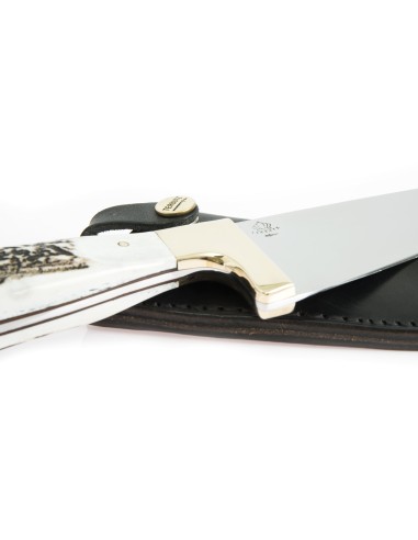 Terbutz Criollo (Asta de Ciervo)