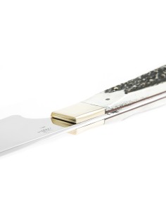 Terbutz Cuchilla 345 (Asta de Ciervo) 2