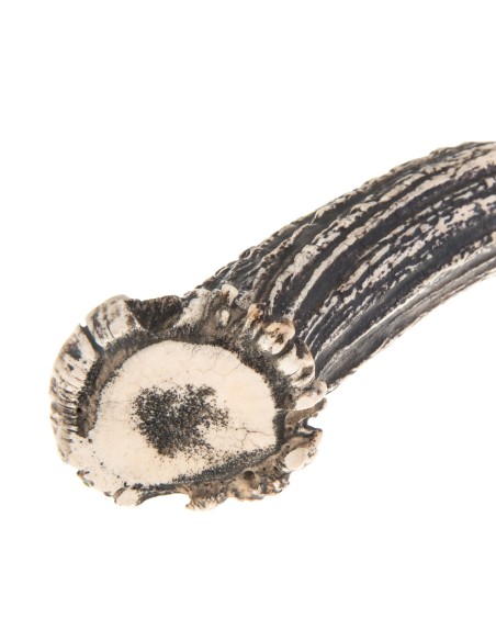 Terbutz Gran Criollo (Asta de Ciervo) Terbutz Gran Criollo (Asta de Ciervo)