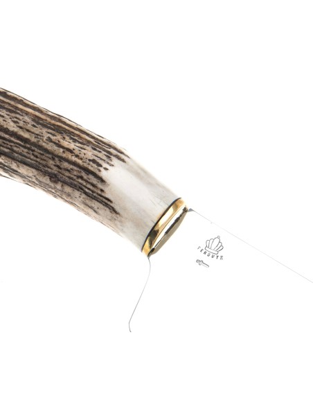 Terbutz Gran Criollo II (Asta de Ciervo) Terbutz Gran Criollo II (Asta de Ciervo)