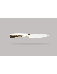 Terbutz Happening (Asta de Ciervo)