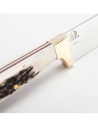 Terbutz Happening (Asta de Ciervo)