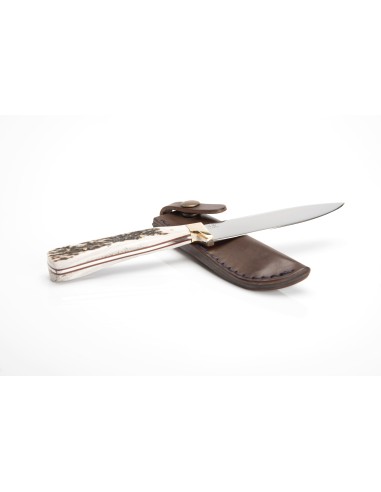 Terbutz Happening (Asta de Ciervo)