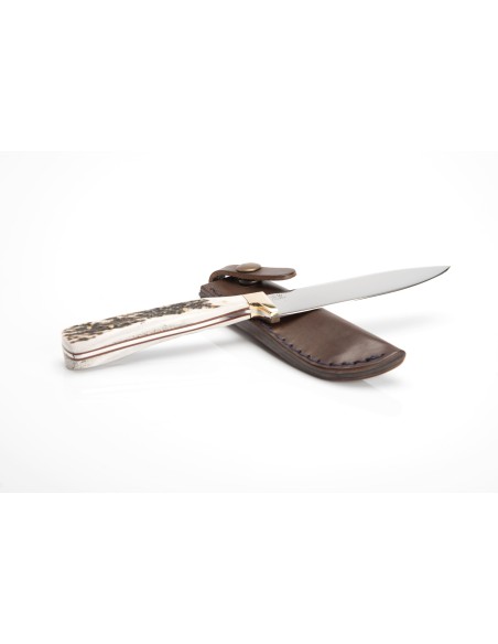 Terbutz Happening (Asta de Ciervo) Terbutz Happening (Asta de Ciervo)