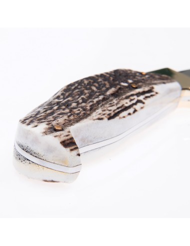 Terbutz Malevo (Asta de Ciervo)