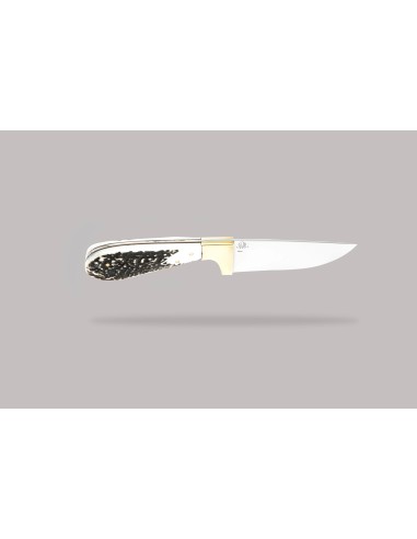 Terbutz Matrero (Asta de Ciervo)