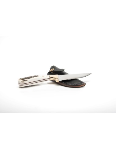 Terbutz Matrero (Asta de Ciervo)