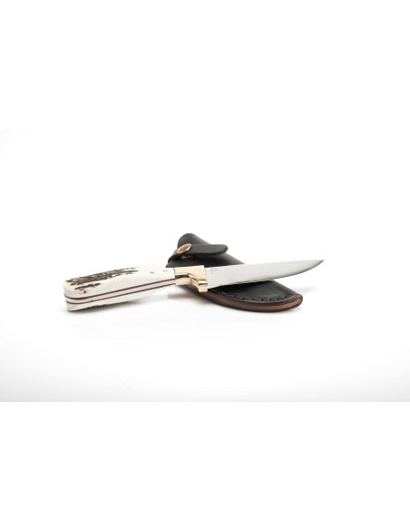 Terbutz Matrero (Asta de Ciervo) Terbutz Matrero (Asta de Ciervo)