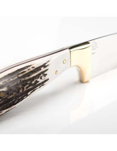 Terbutz Matrero (Asta de Ciervo)