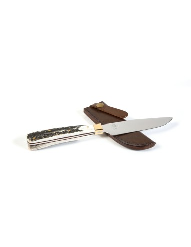 Terbutz Pampero (Asta de Ciervo)