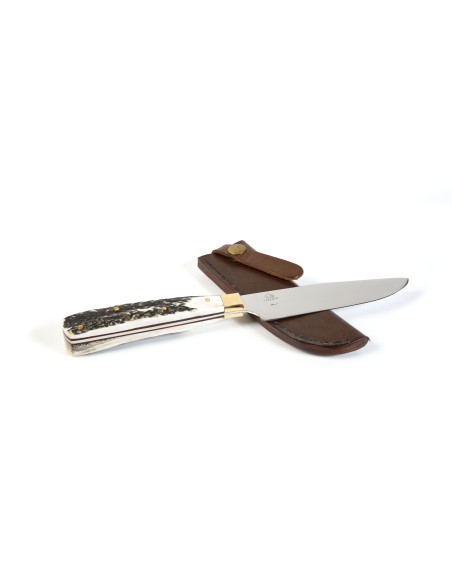 Terbutz Pampero (Asta de Ciervo)