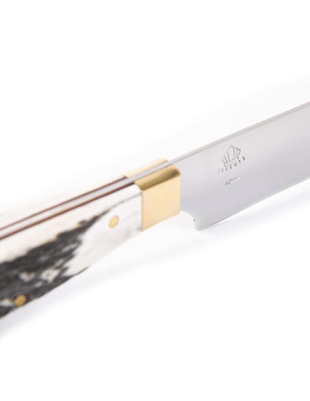 Terbutz Pampero (Asta de Ciervo)